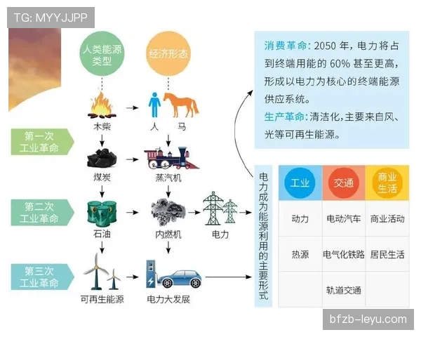 新技术驱动能源变革：赖斯技术显著提升可再生能源发展效能